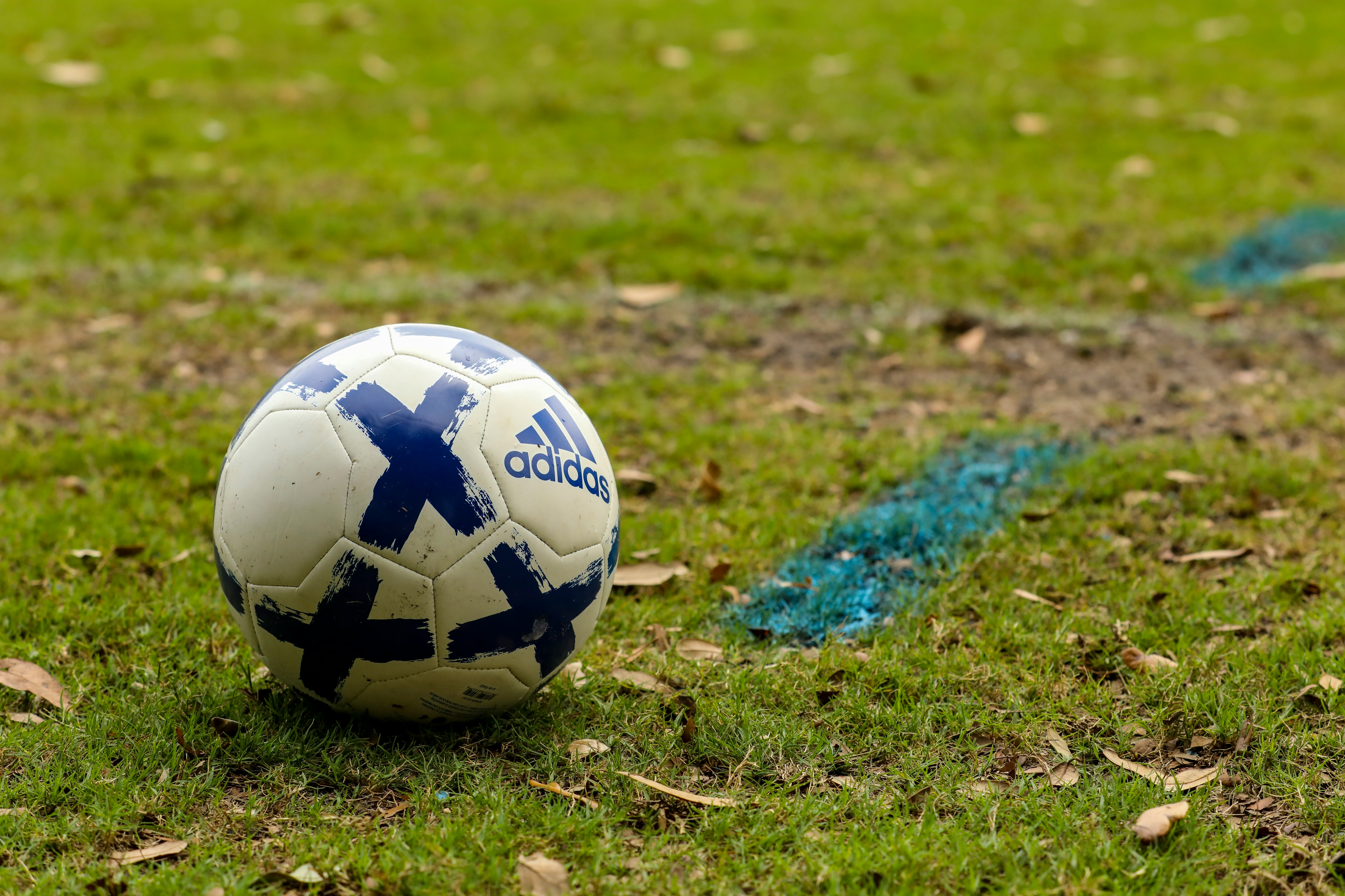 white and blue soccer ball on green grass field during daytime